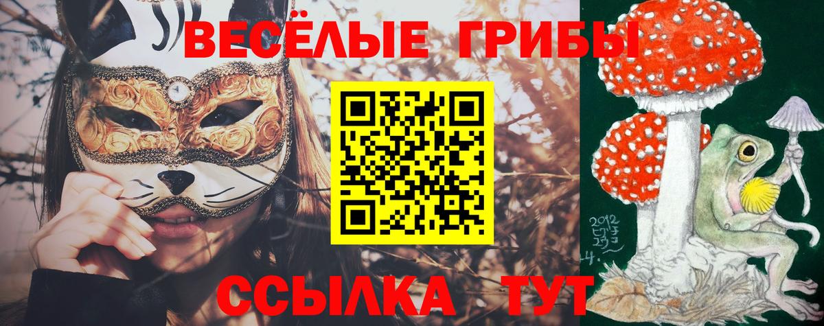 Галлюциногенные грибы Psilocybe  Вход с VPN  Галлюциногенные грибы ЛСД  Новороссийск 